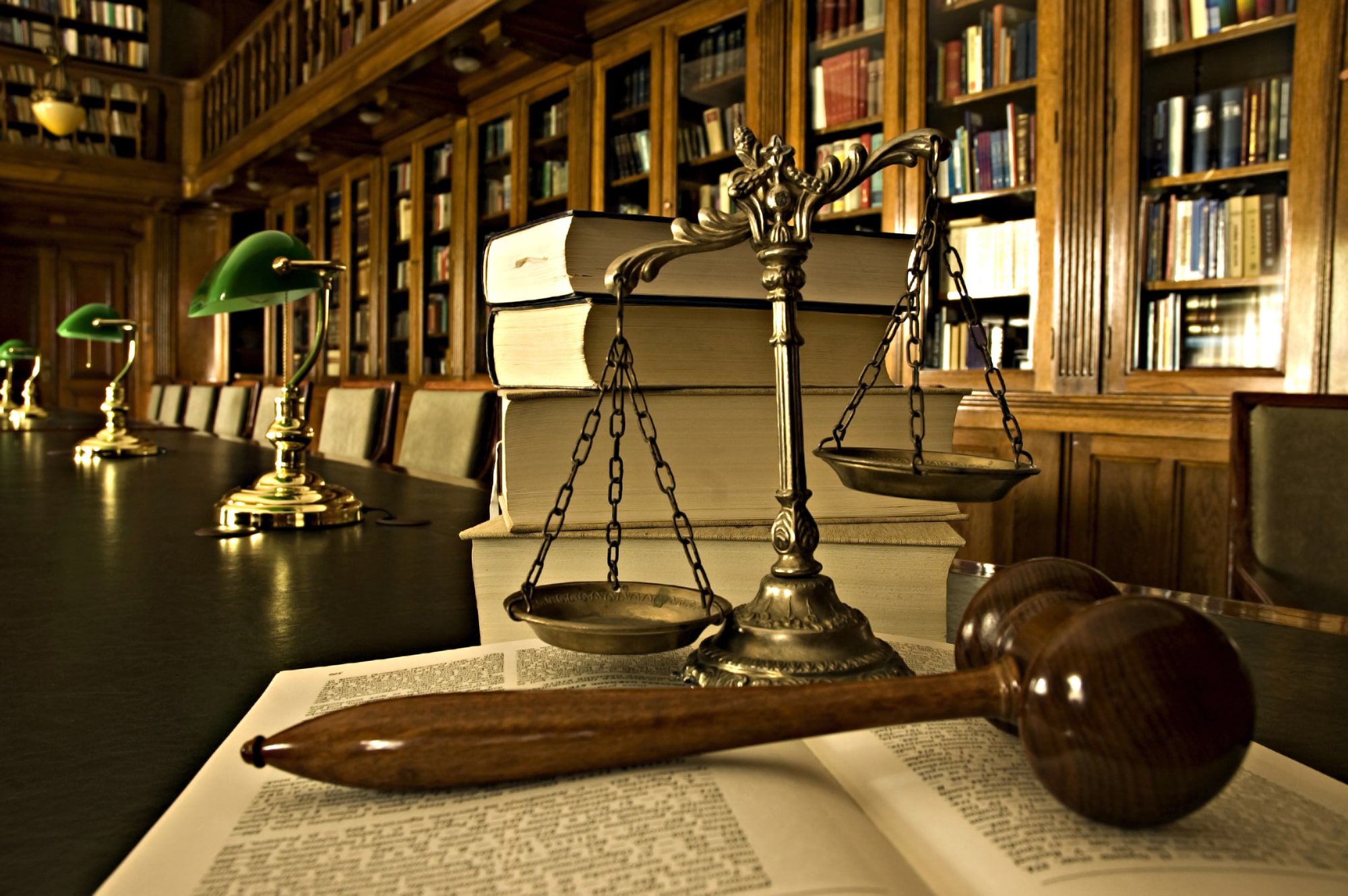 pet custody lawyer